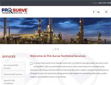 Tablet Screenshot of pro-surve.com